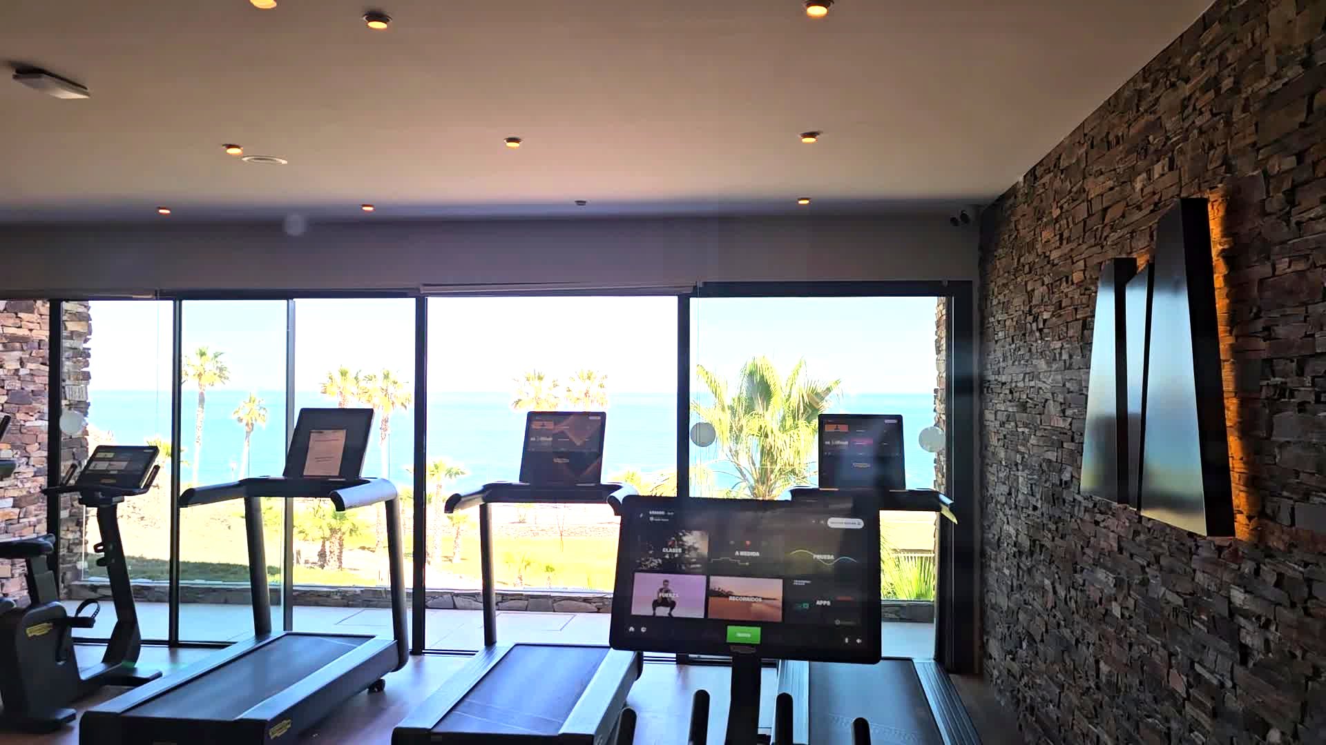 A gym with floor-to-ceiling windows looking out to palms and the sea