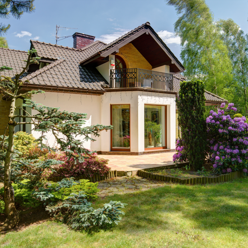 Szolgáltatásaink, Renewal Zed Home