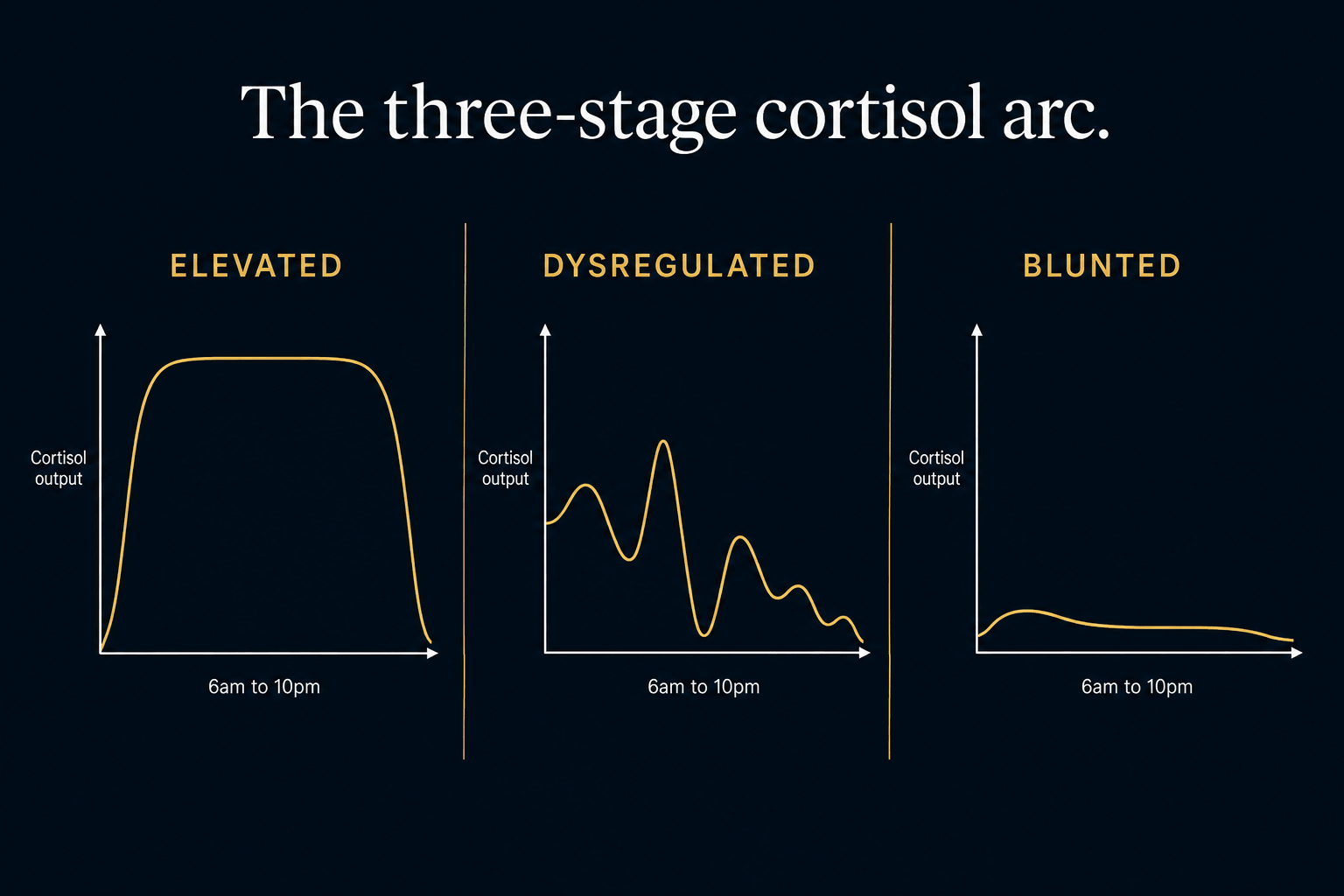 A clinical infographic illustrating the three-stage cortisol rhythm across a 24-hour cycle. The graphic compares elevated, dysregulated, and blunted cortisol patterns using side-by-side diurnal curve panels to demonstrate how chronic stress and HPA axis dysfunction alter normal cortisol output. Designed in a clean, minimal clinical style with a dark navy background, gold accents, and labeled cortisol response curves for educational use in functional medicine, adrenal health, stress physiology, and metabolic performance discussions. A clinical infographic illustrating the three-stage cortisol rhythm across a 24-hour cycle. The graphic compares elevated, dysregulated, and blunted cortisol patterns using side-by-side diurnal curve panels to demonstrate how chronic stress and HPA axis dysfunction alter normal cortisol output. Designed in a clean, minimal clinical style with a dark navy background, gold accents, and labeled cortisol response curves for educational use in functional medicine, adrenal health, stress physiology, and metabolic performance discussions.