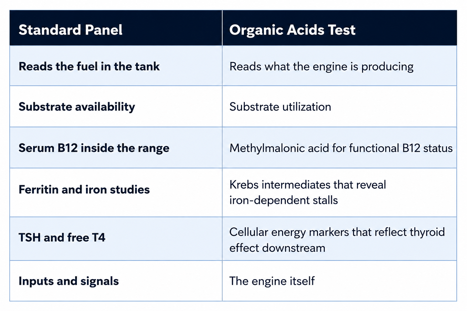 Side-by-side table comparing a standard blood panel (fuel availability) with the Organic Acids Test (mitochondrial output). Side-by-side table comparing a standard blood panel (fuel availability) with the Organic Acids Test (mitochondrial output).
