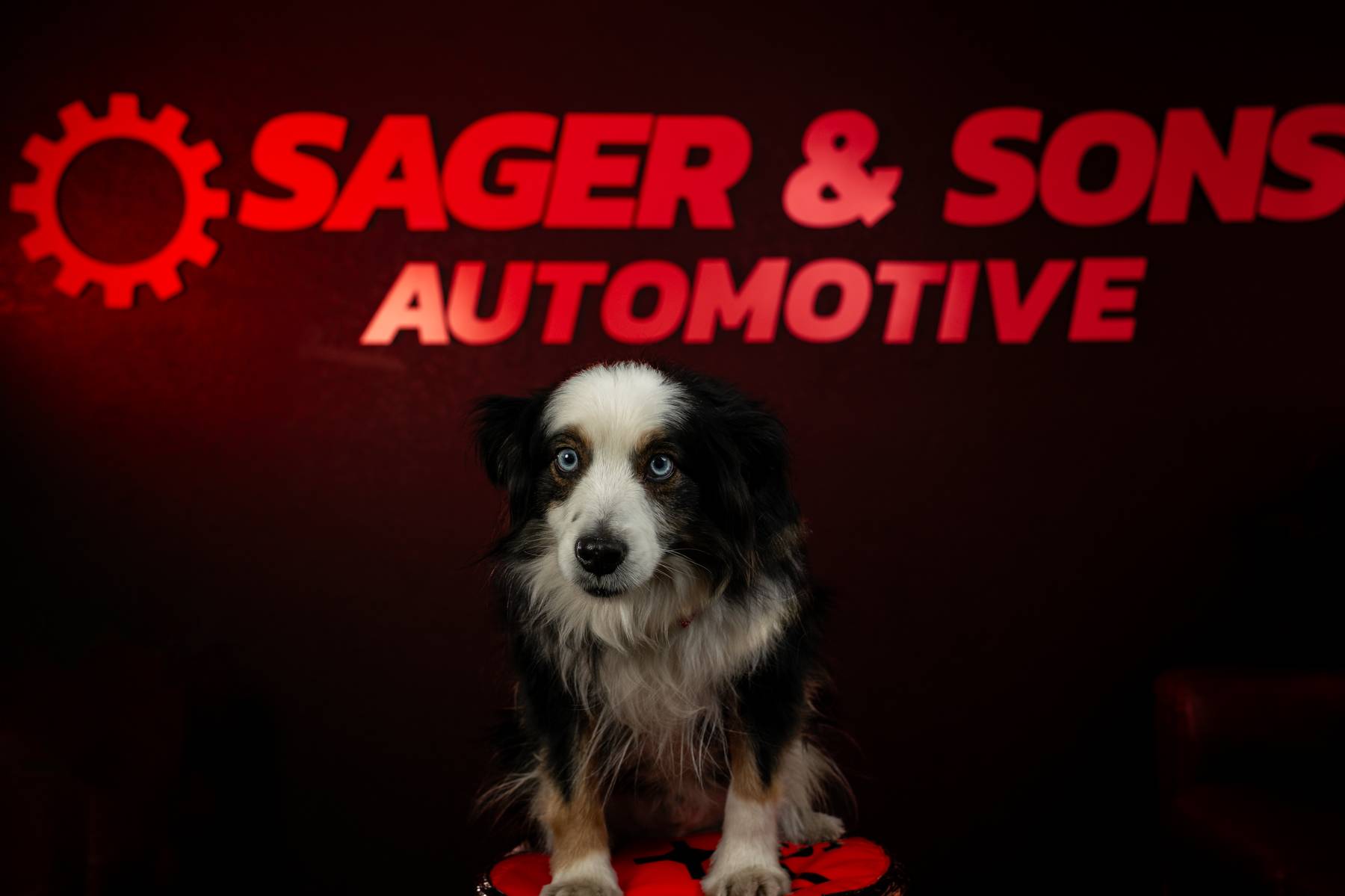 Padfoot. Sager & Sons Auto