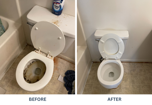 Before and after cleaning toilet