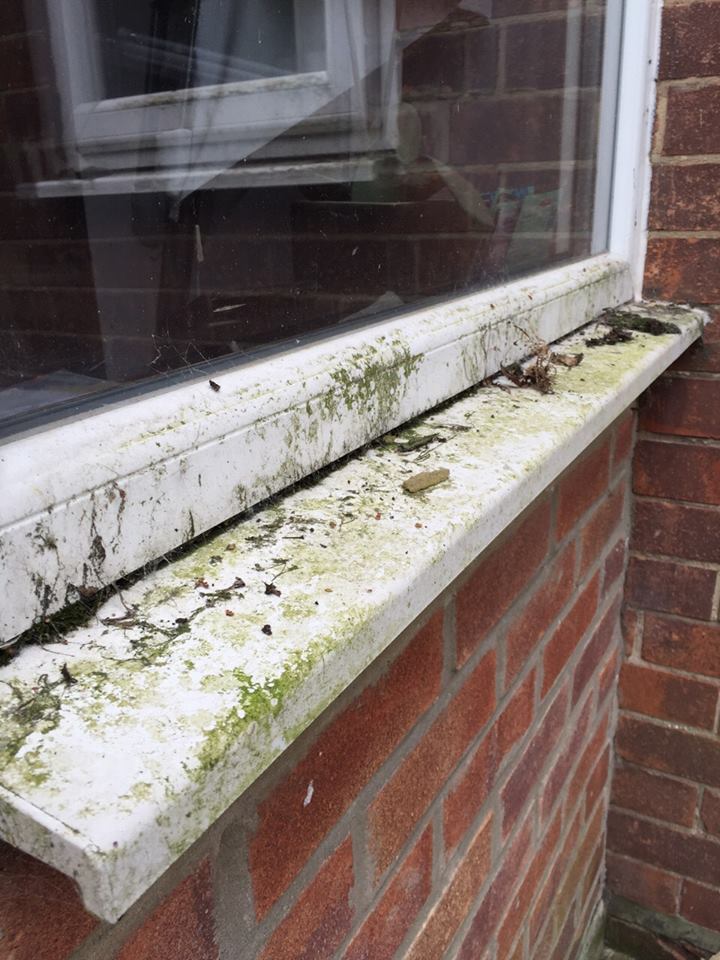 Before cleaning: window frame and sill