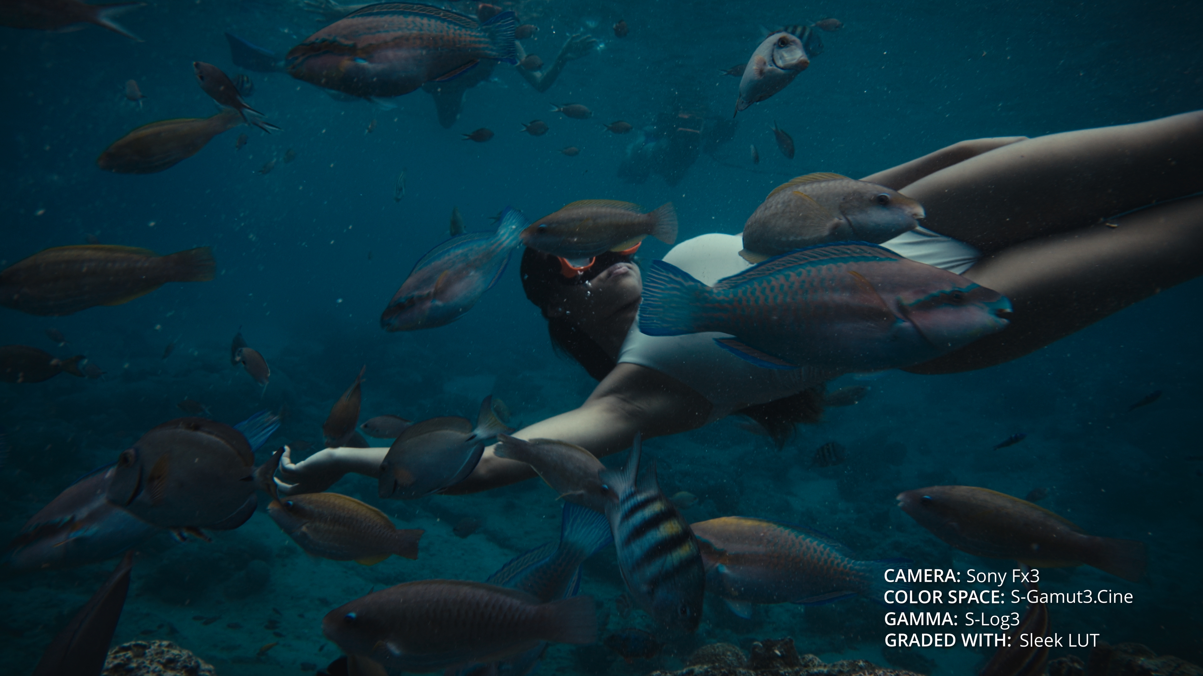 Filmic low-light color grade after Dante's LUTs