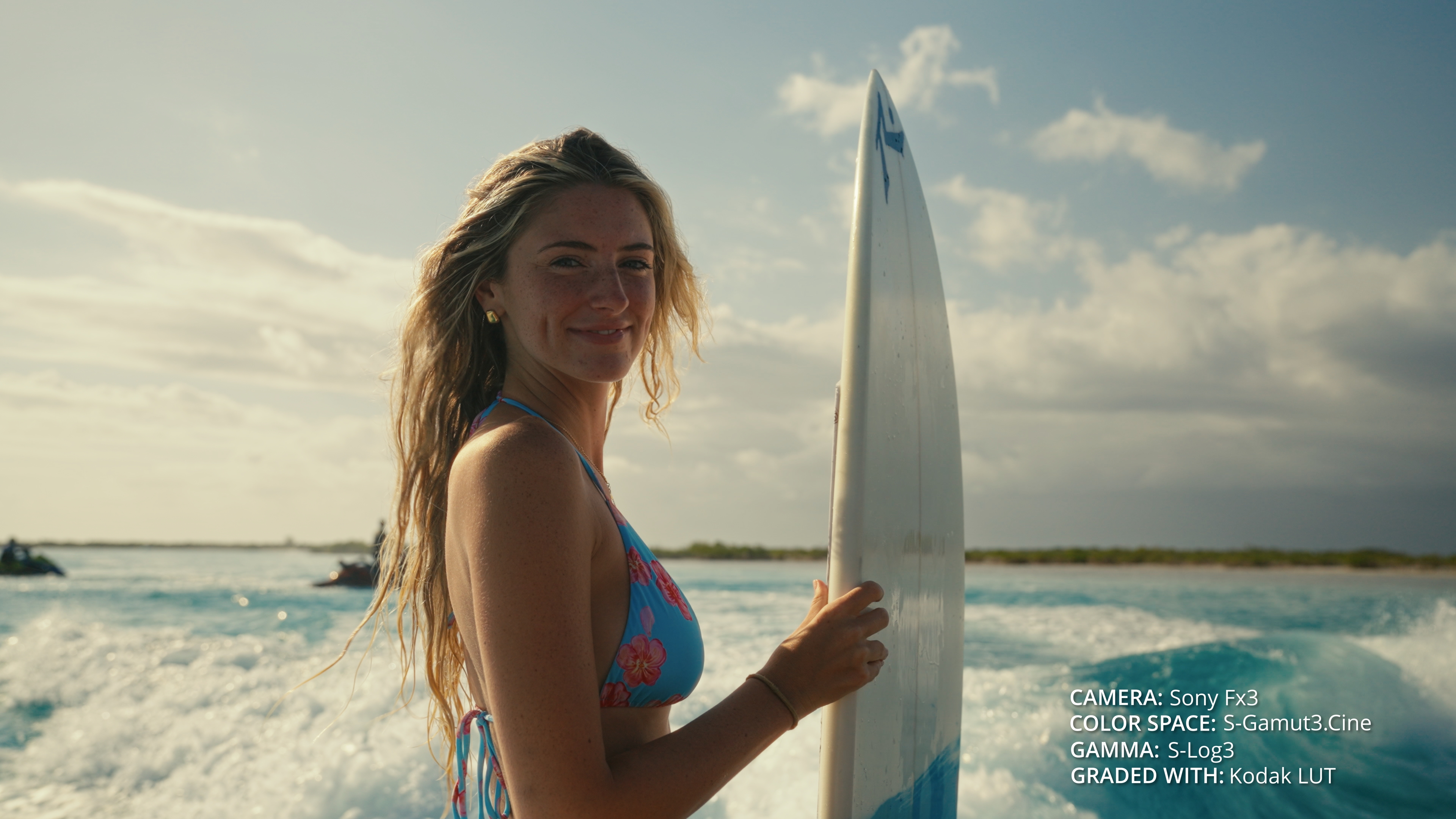 Filmic aerial ocean color grade after Dante's LUTs