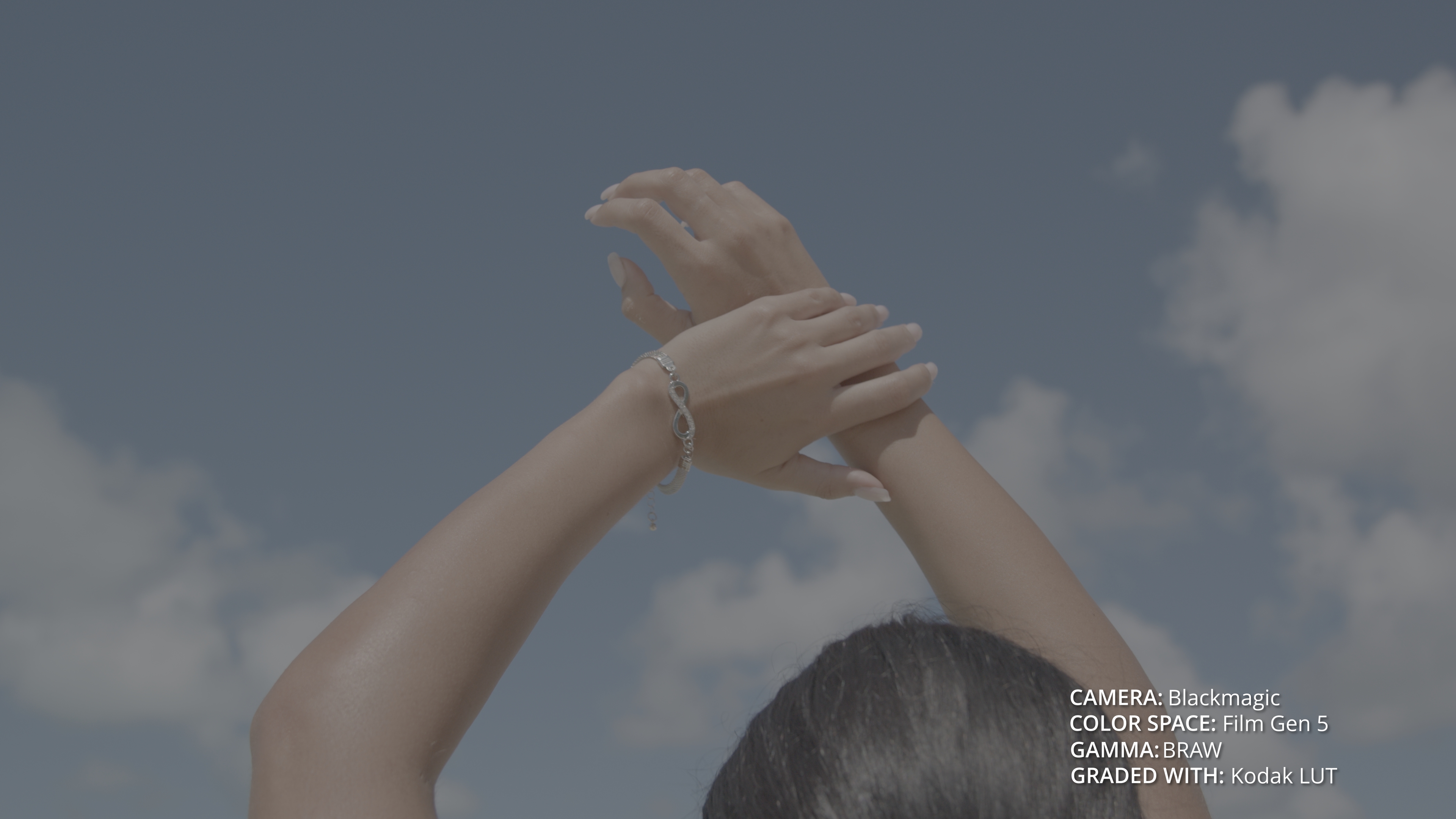 Ungraded beach footage before Dante's LUTs