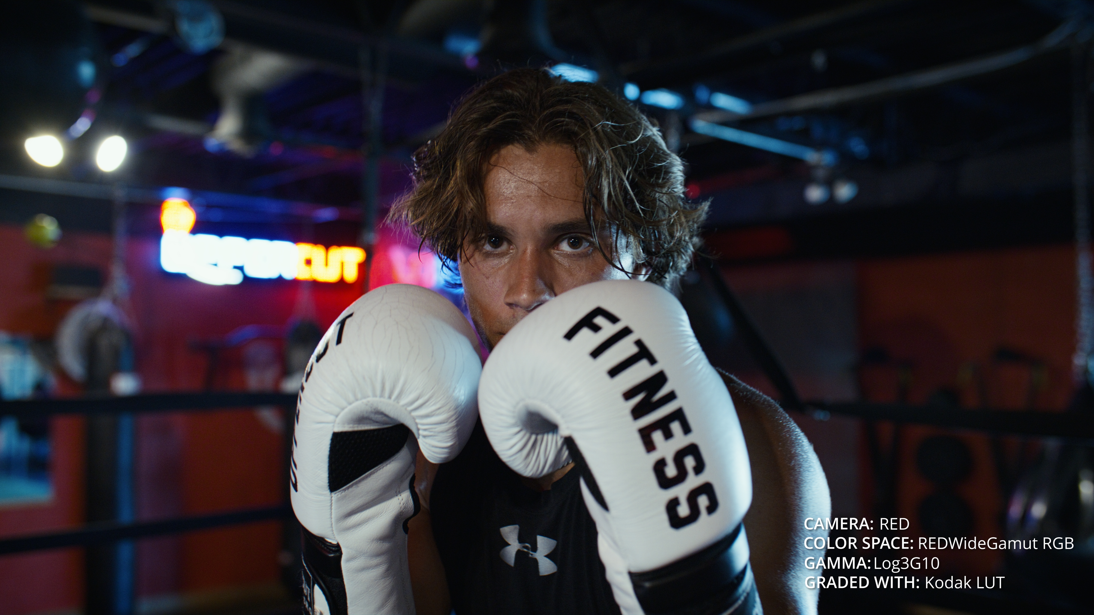 Filmic forest color grade after Dante's LUTs