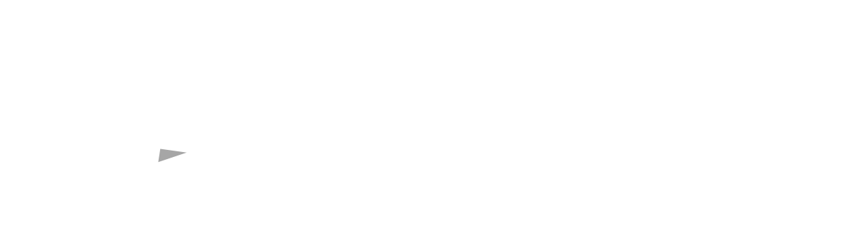 Brandon Screen Enclosures Logo