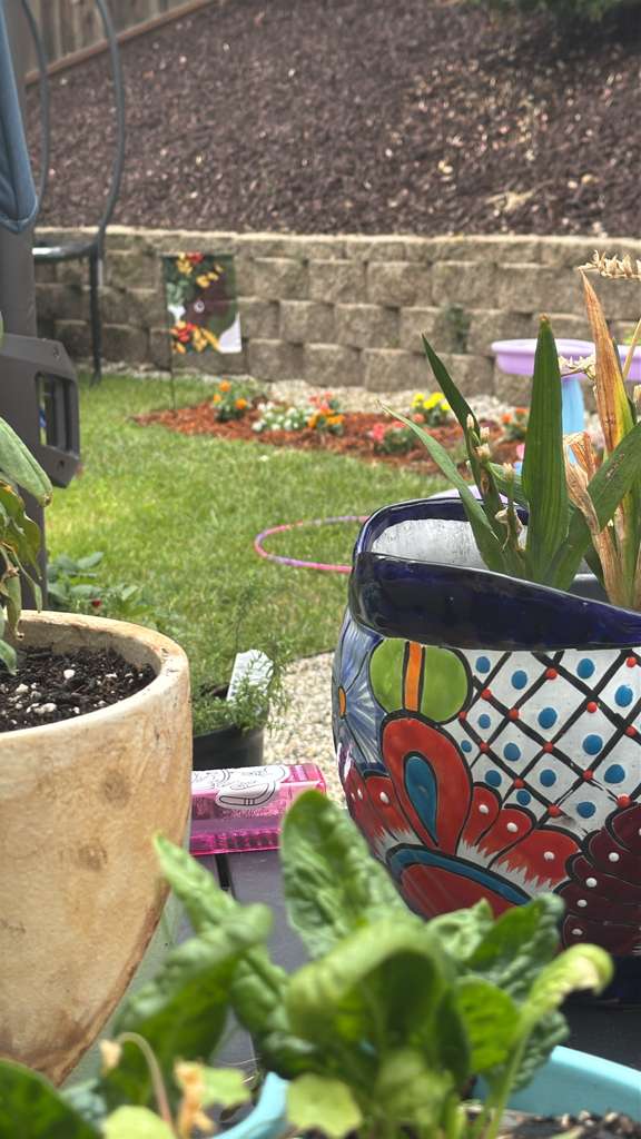 Nataki's garden — pots
