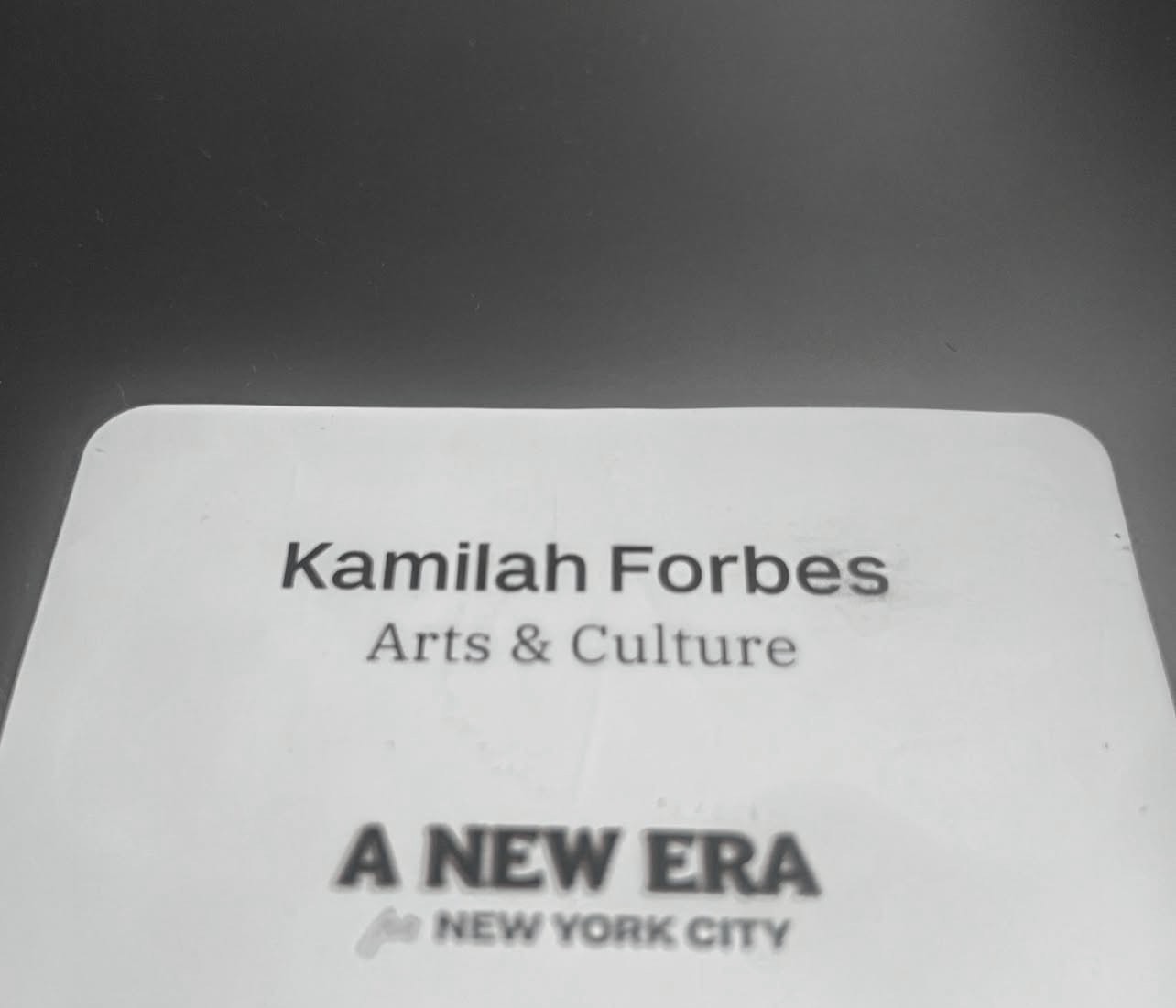 2026 Mayoral Transition Team, Arts and Culture