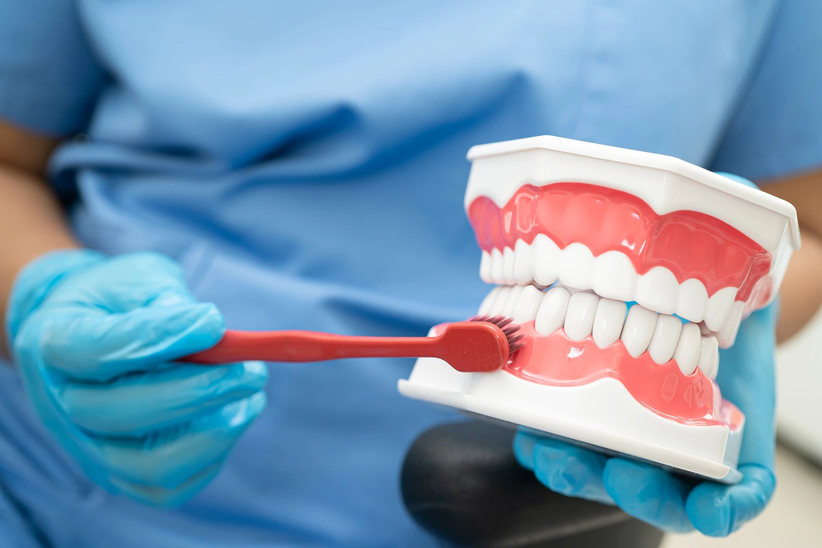 Dental hygienist demonstrating proper cleaning technique on a dental model