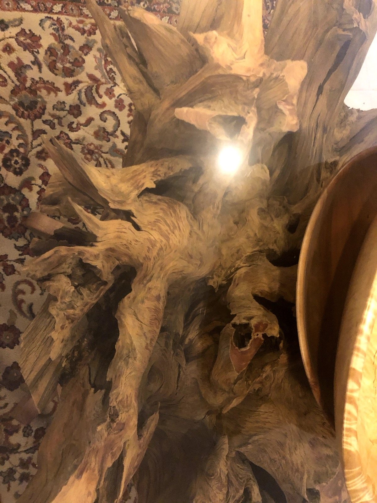 Close view of the natural wood beneath a glass tabletop