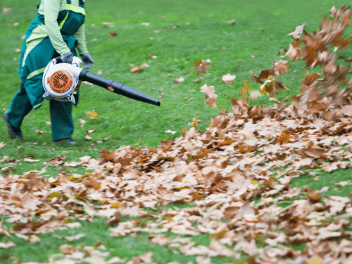 Yard Cleanups in Idaho Falls