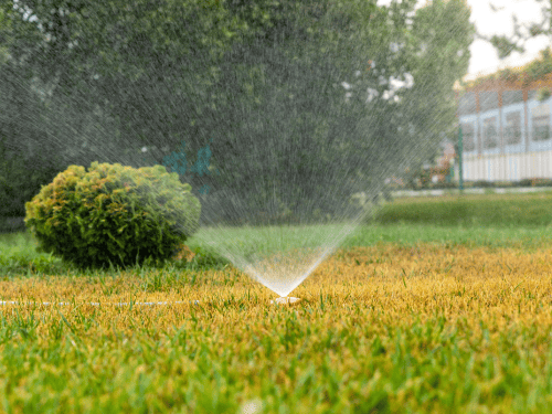 {{ custom_values.service_1 }} in {{custom_values.biz_area_1})