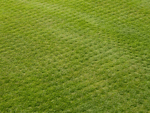 Aeration & Overseeding in Idaho Falls
