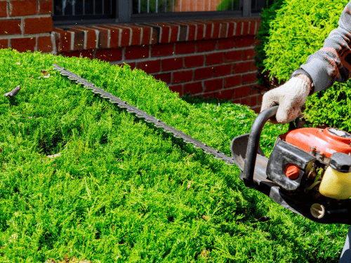 Bush & Hedge Trimming in Idaho Falls