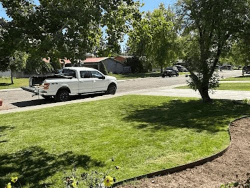 Yard Cleanups Idaho Falls