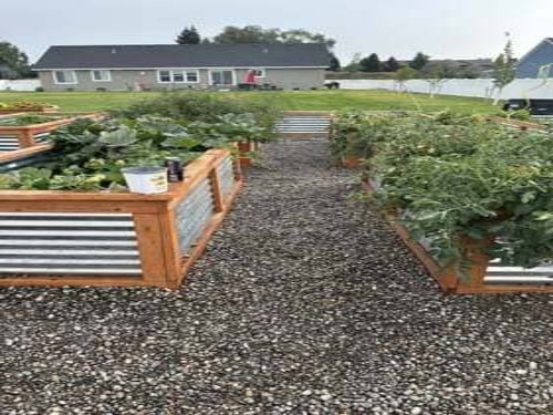 Bush & Hedge Trimming Idaho Falls