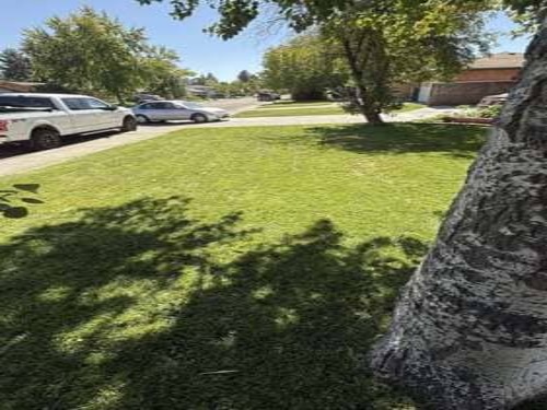 Lawn Maintenance Idaho Falls