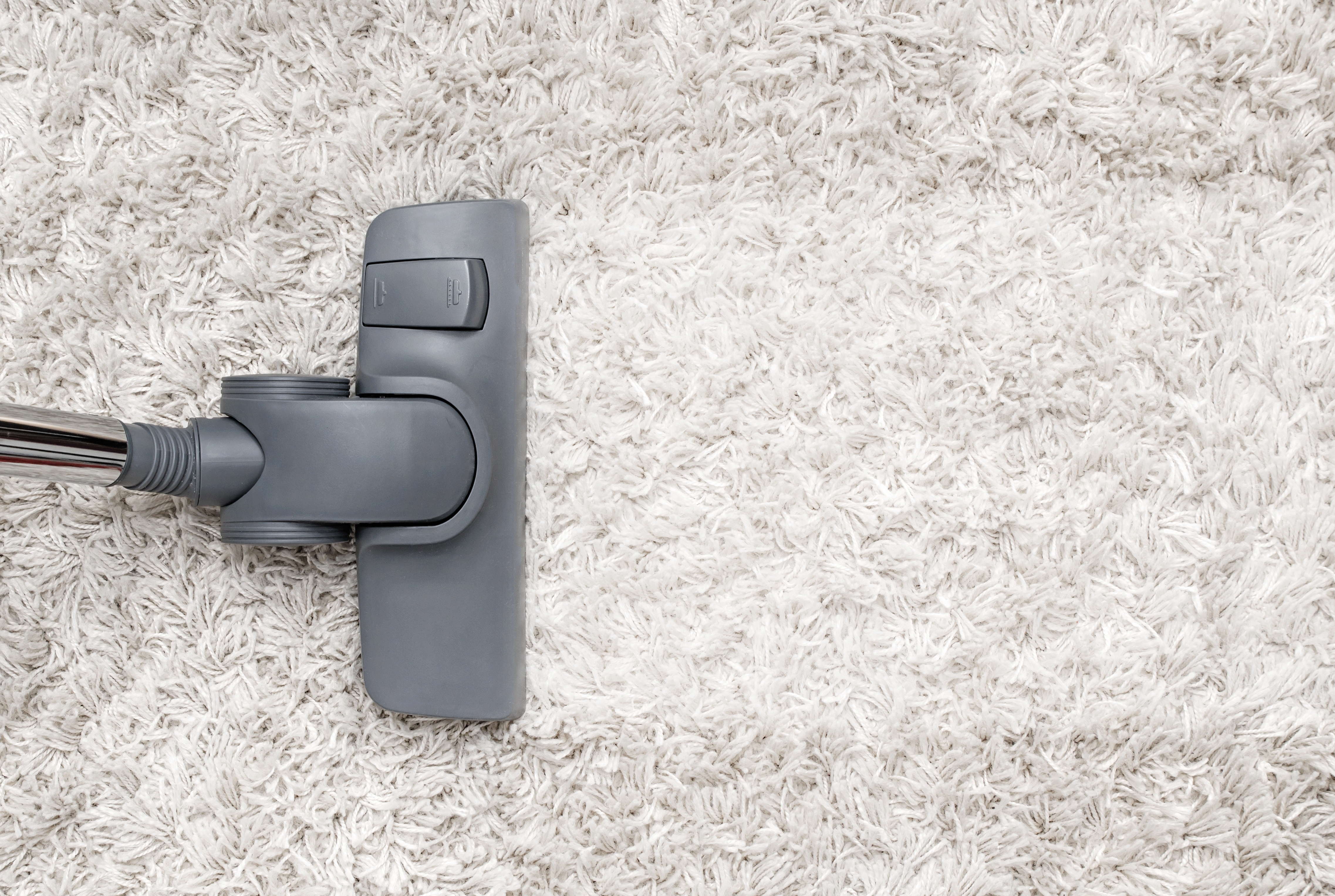 Clean carpet maintenance