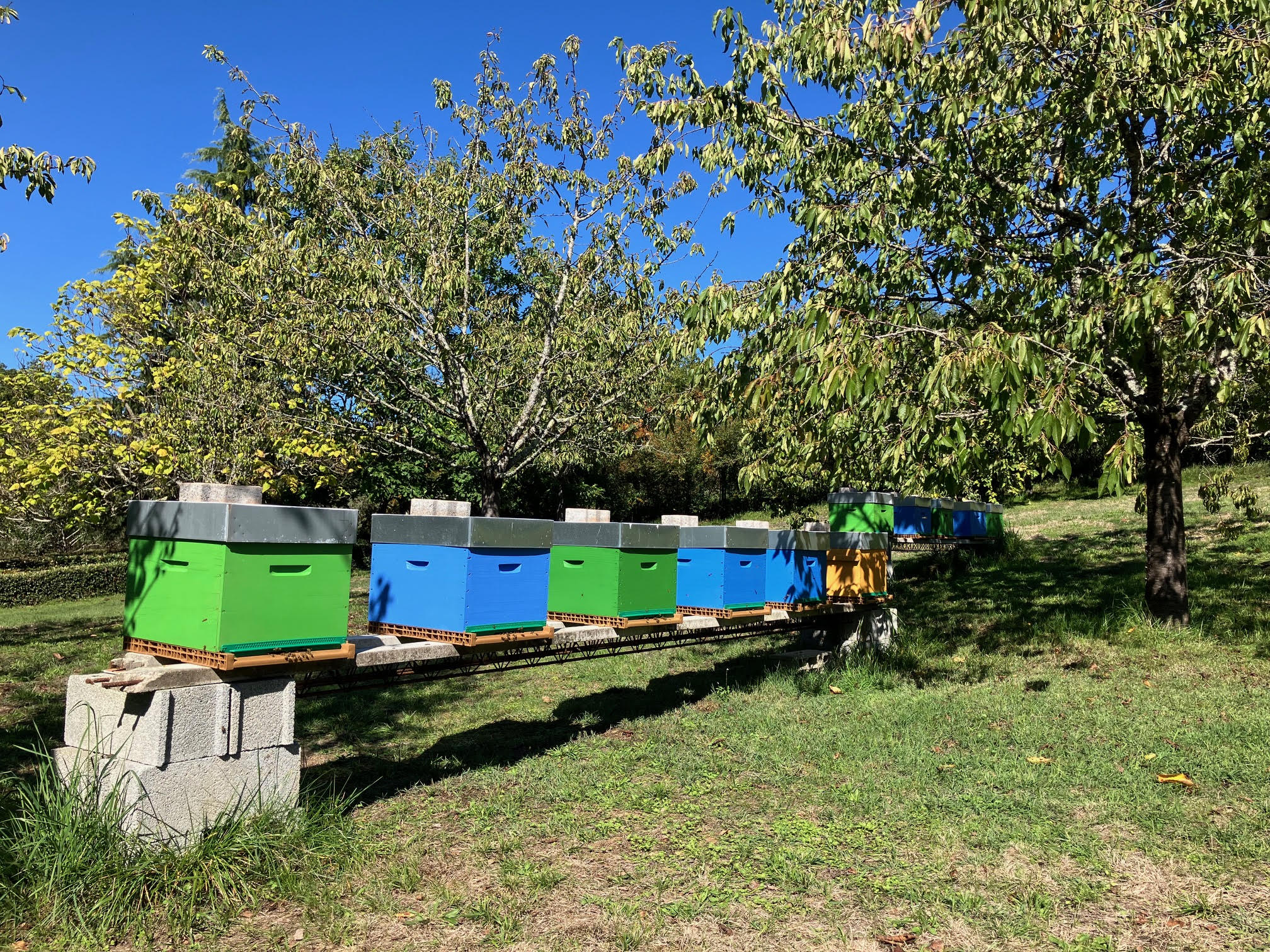 Les vergers de Pialard - visuel site vitrine