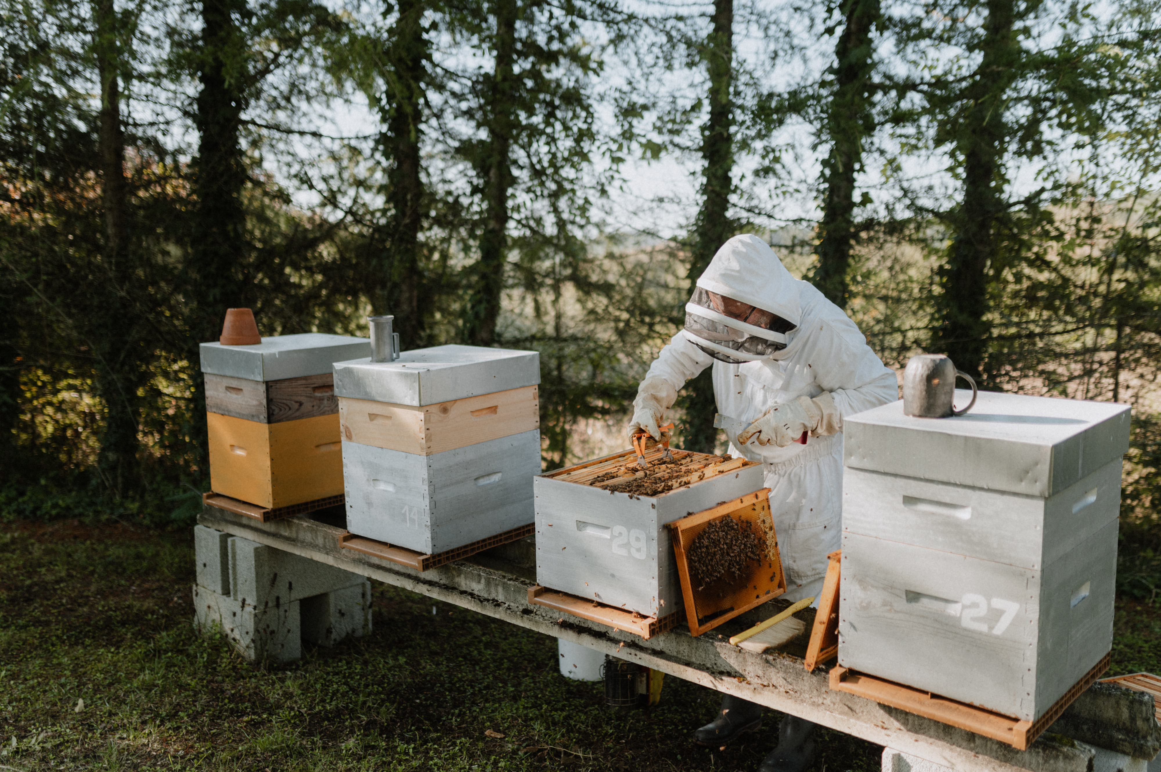 Les vergers de Pialard - visuel site vitrine