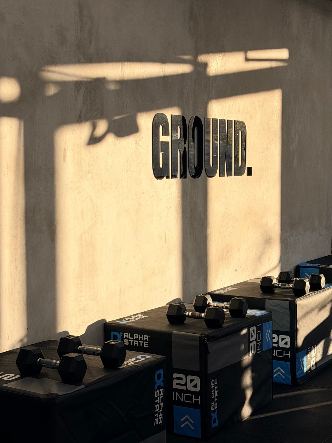 GROUND gym floor with dumbbells and plyo boxes against the GROUND wall
