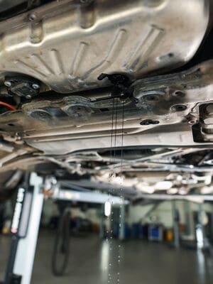 {{ custom_values.service_2 }} in {{custom_values.area_5})