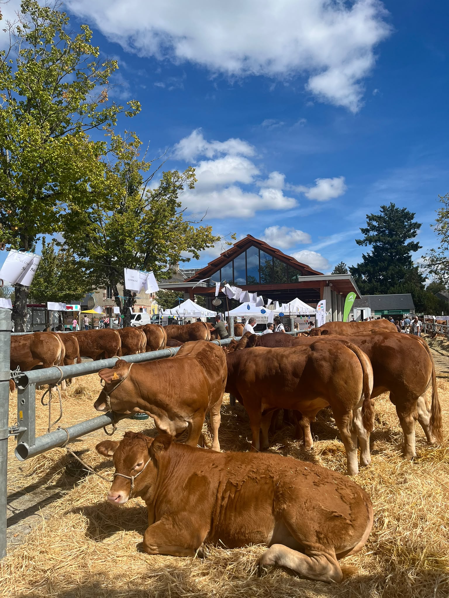 Brocante du 5 septembre 2026 à Dun-le-Palestel