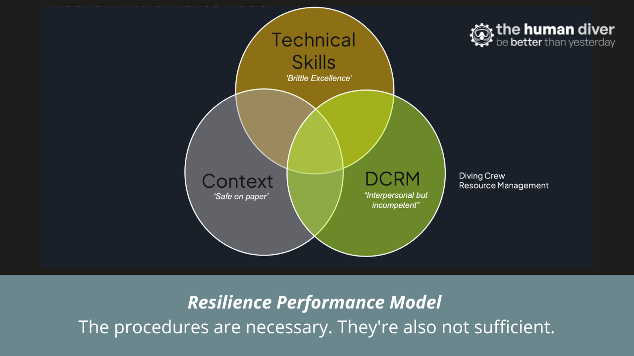 Resilience Rover Model When Skill Alone Isn't Enough: The Resilient Performance Model