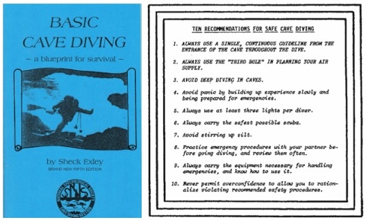 Sheck's 10 Sheck's 10