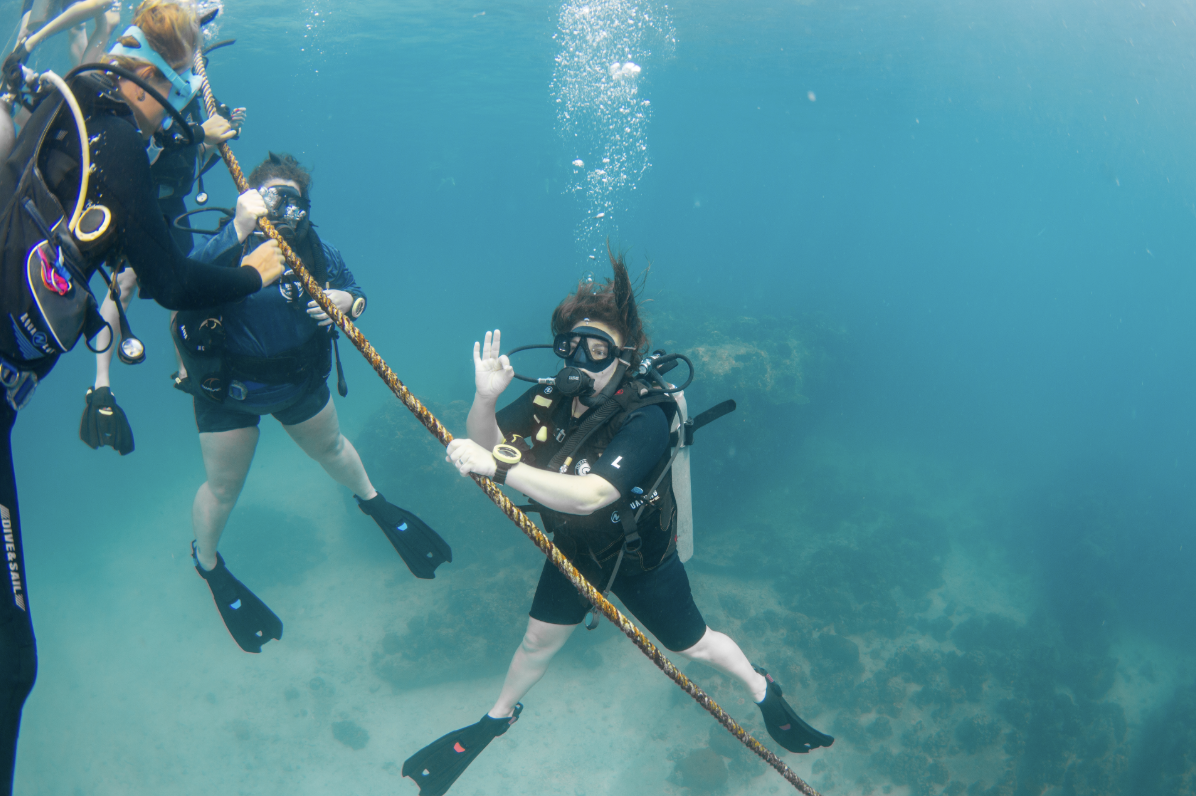 Fun Dives Fun Dives