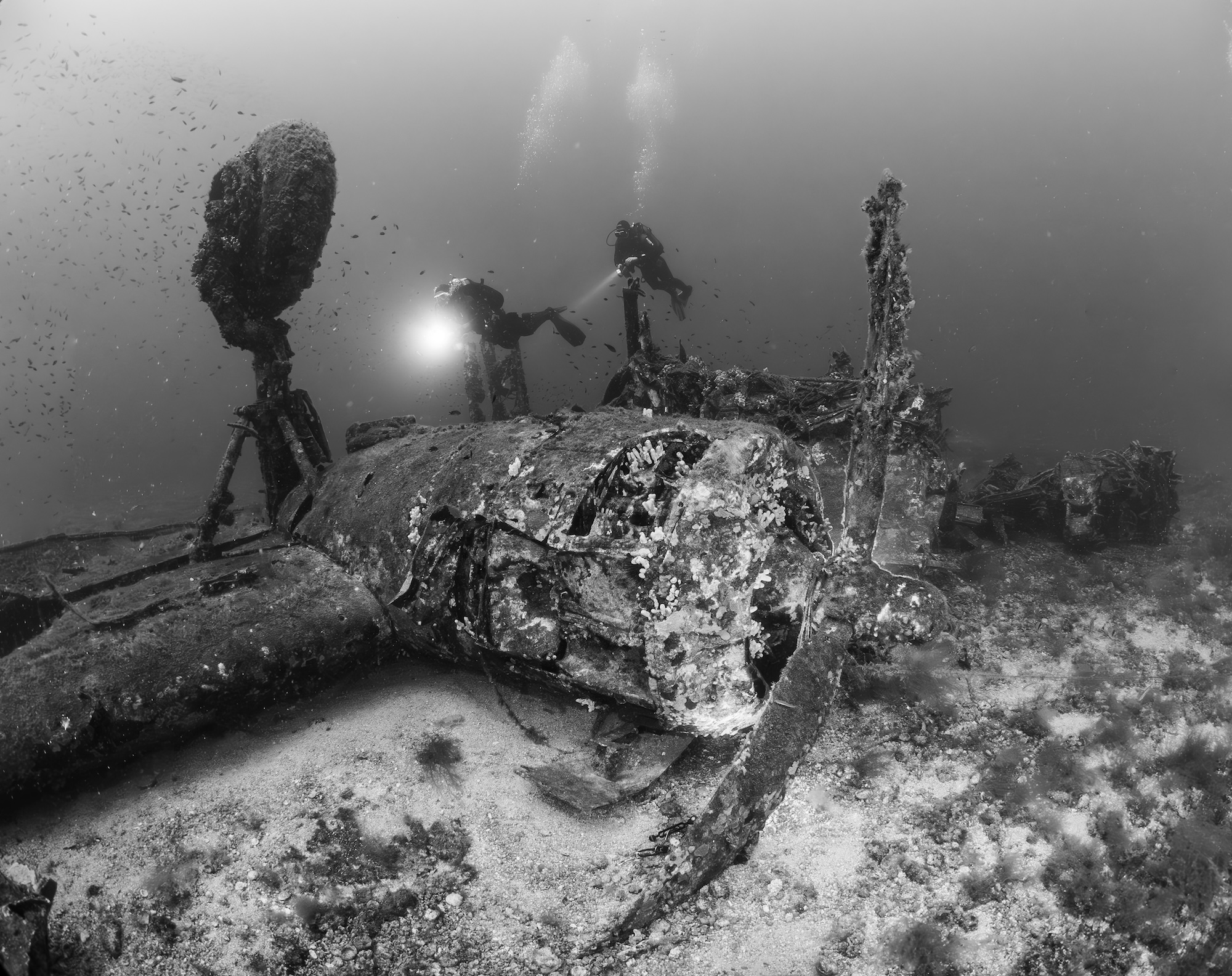 Vis Wreck