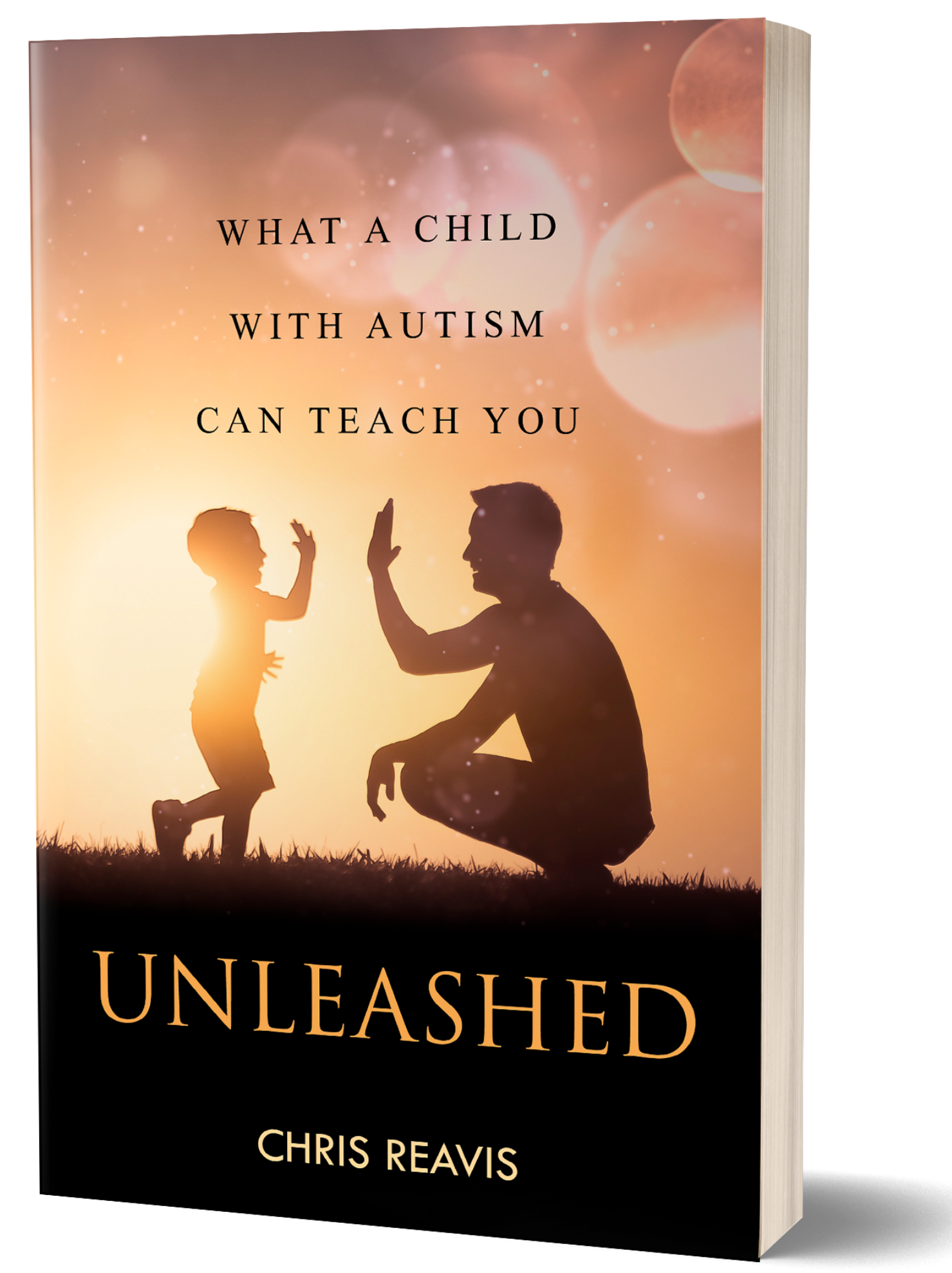 Book by Chris Reavis