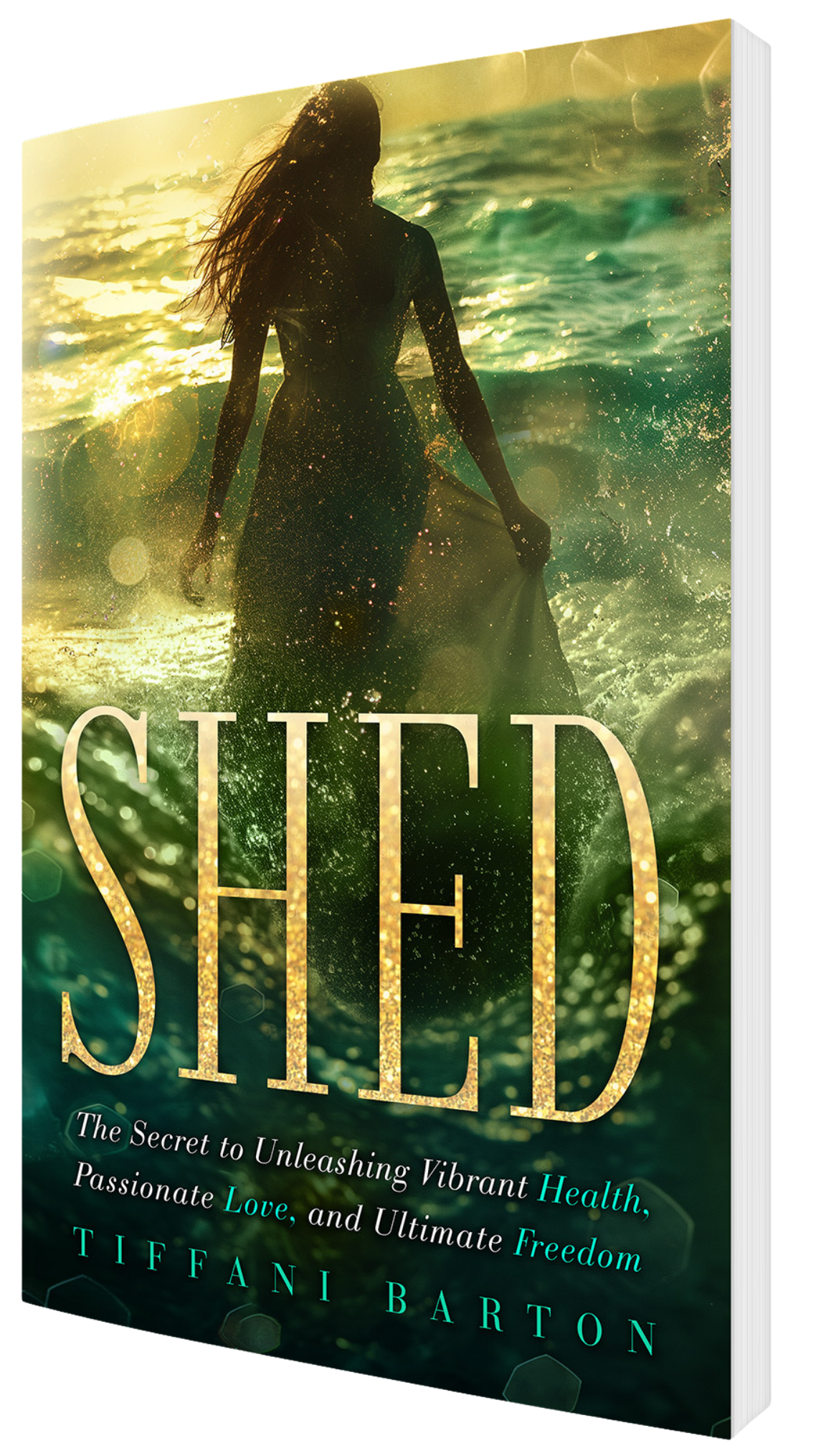 SHED by Tiffani Barton