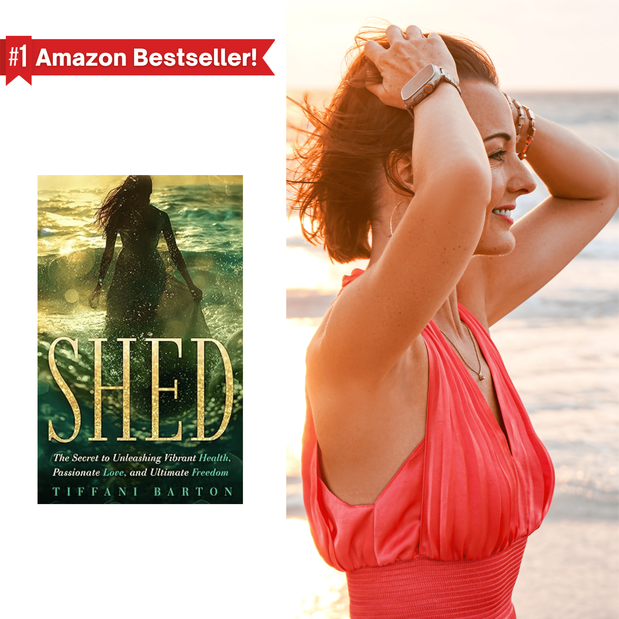 SHED book cover