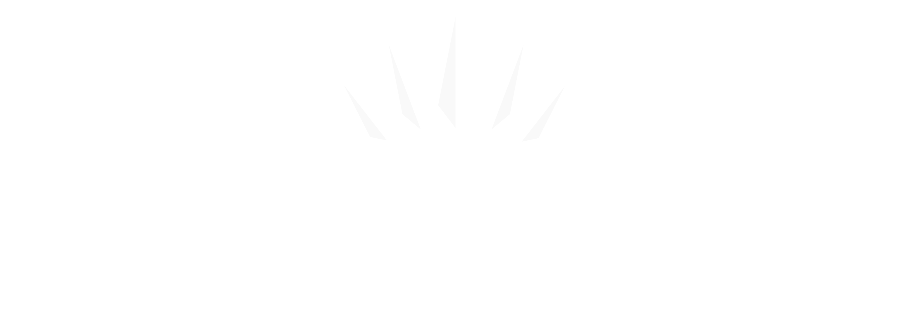Premier Protection Insurance Services