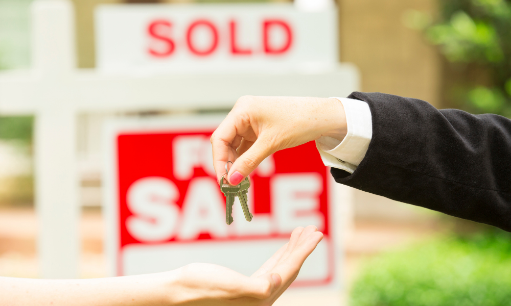 sold sold