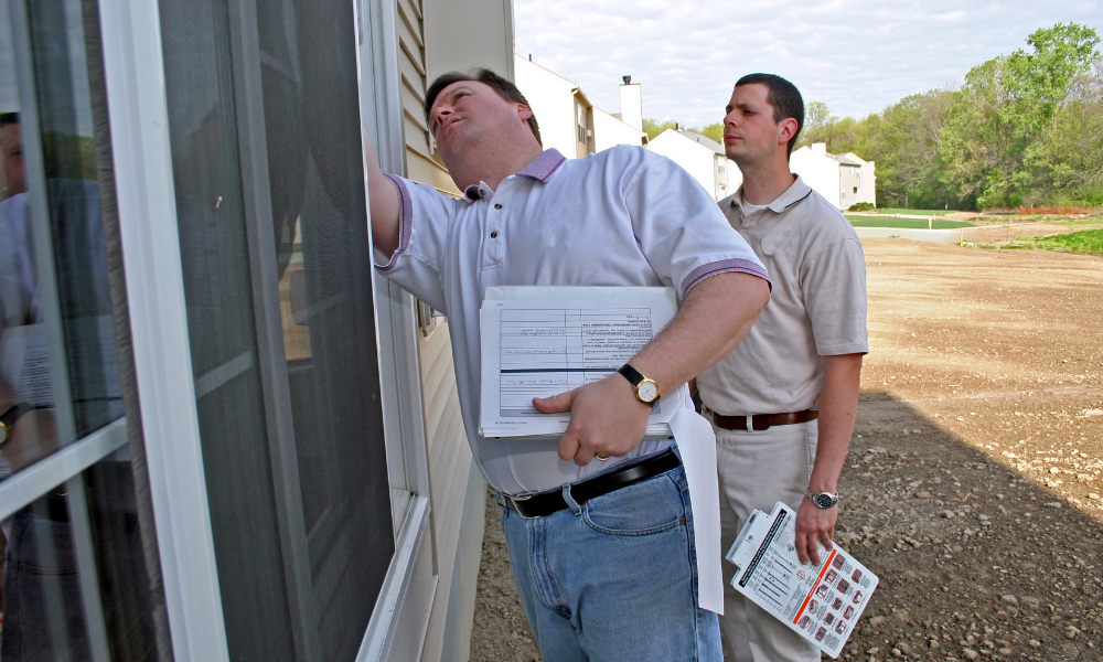 Inspection