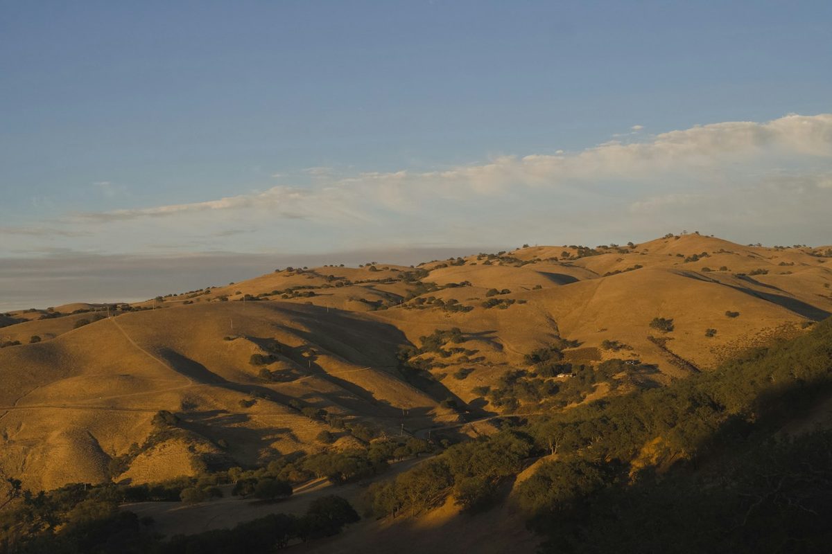 Golden hills at sunset