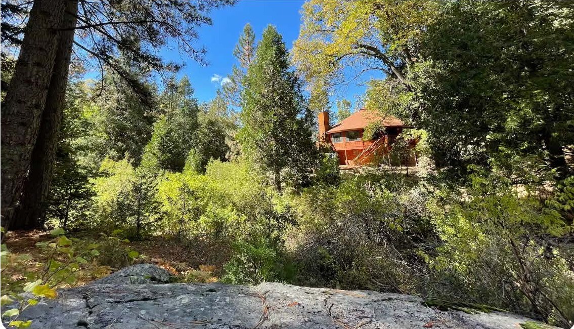 Cabin exterior among the pines
