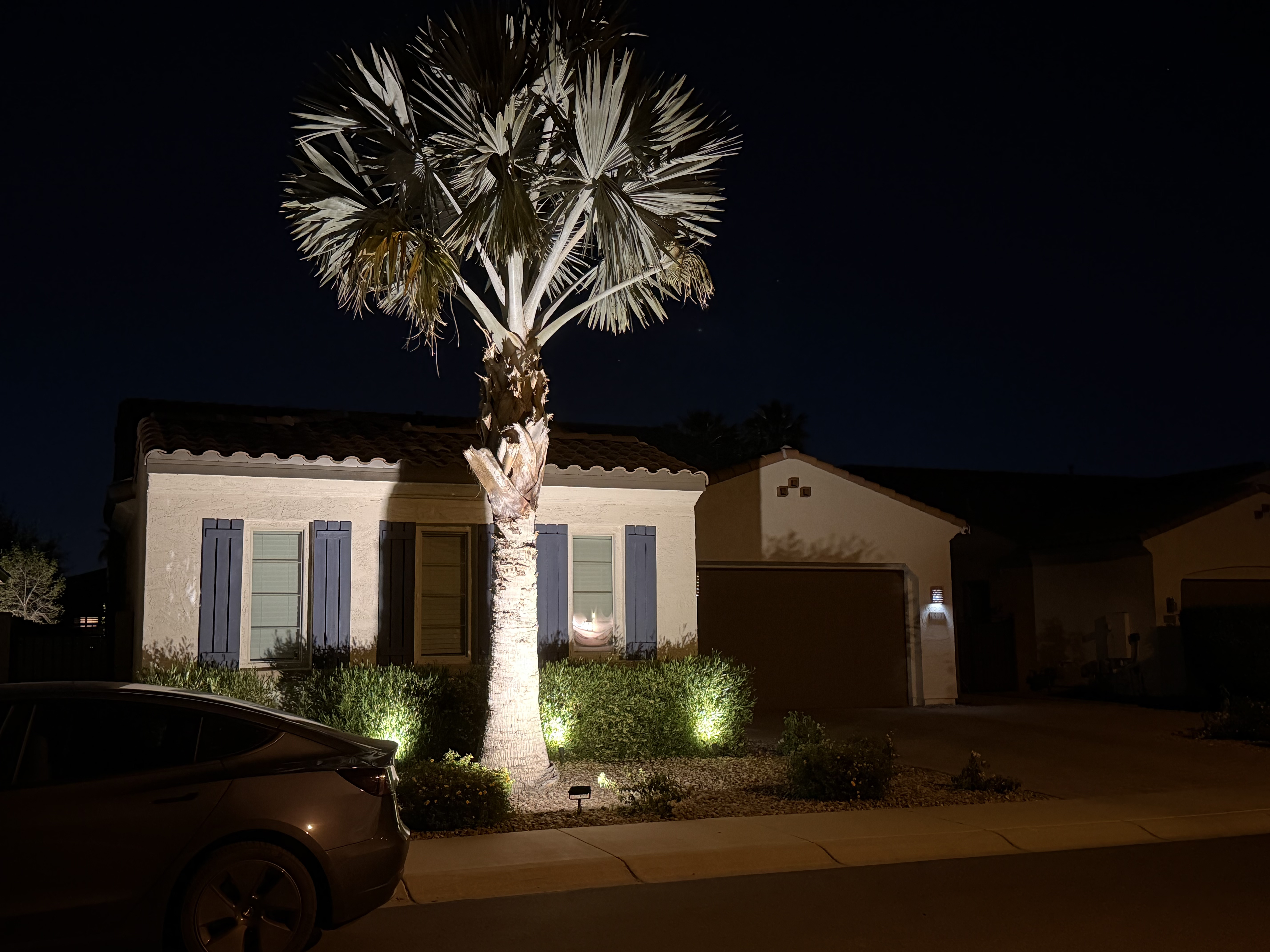 Illuminated Landscape Masterpiece