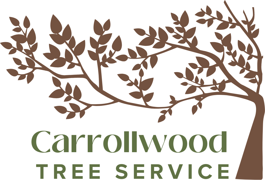 Carrollwood Tree Service logo