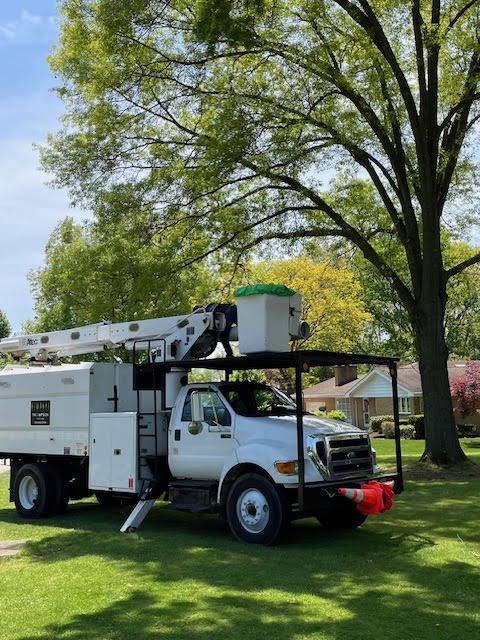 Storm Emergency Cleanup