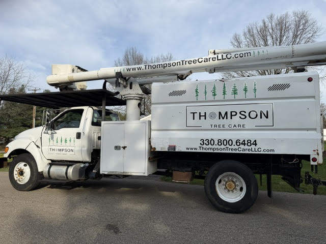 Commercial Tree Services
