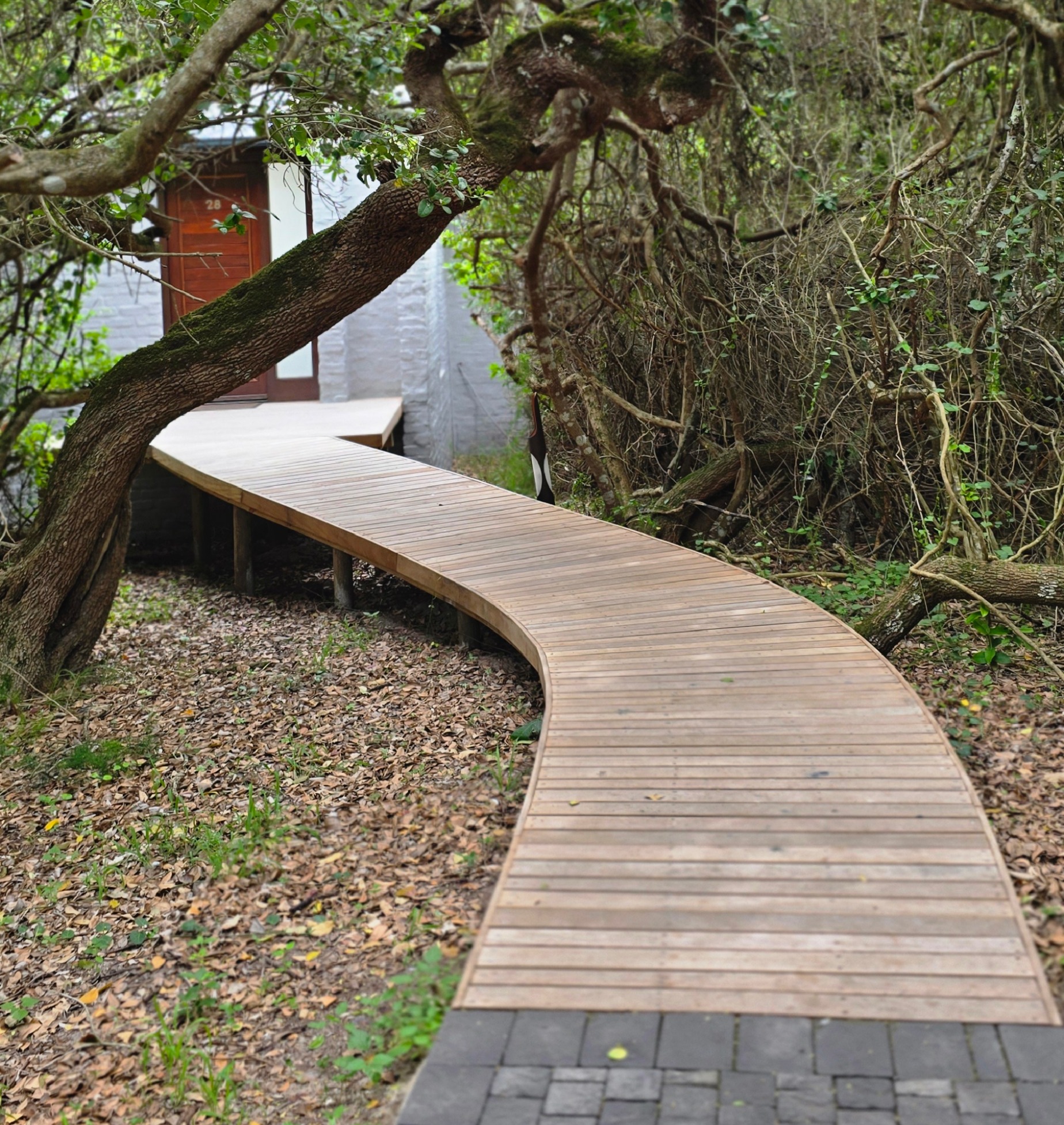 Grootbos Nature Reserve: A Lesson in Slowing Down