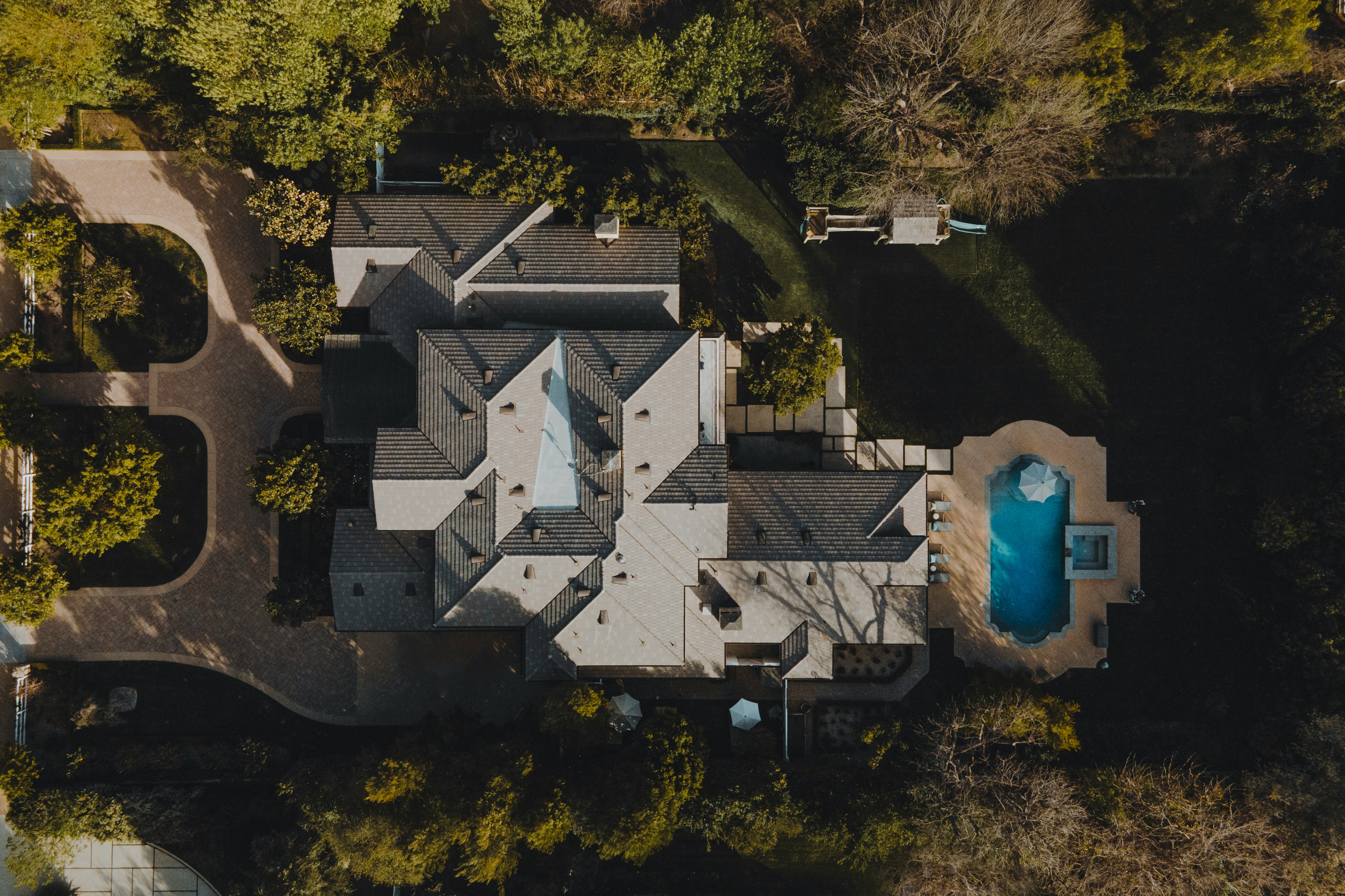 Birds eye