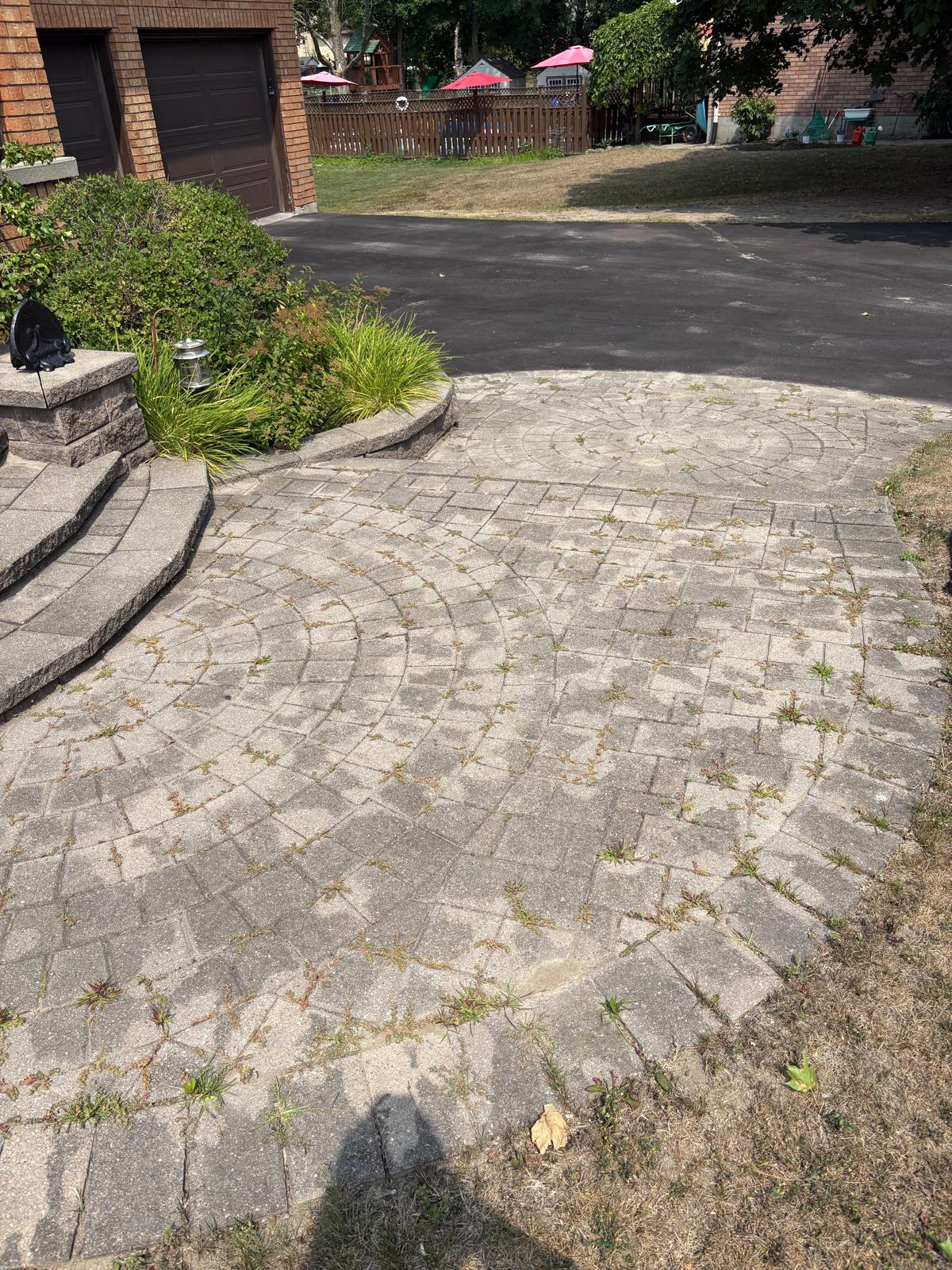 Before polymeric sanding