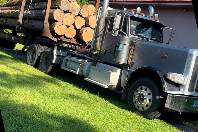 Loaded log truck in the Paulk Timber yard