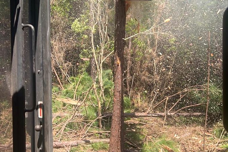 Forestry mulching machine working overgrown ground